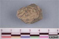 藏品(螃蟹)的圖片